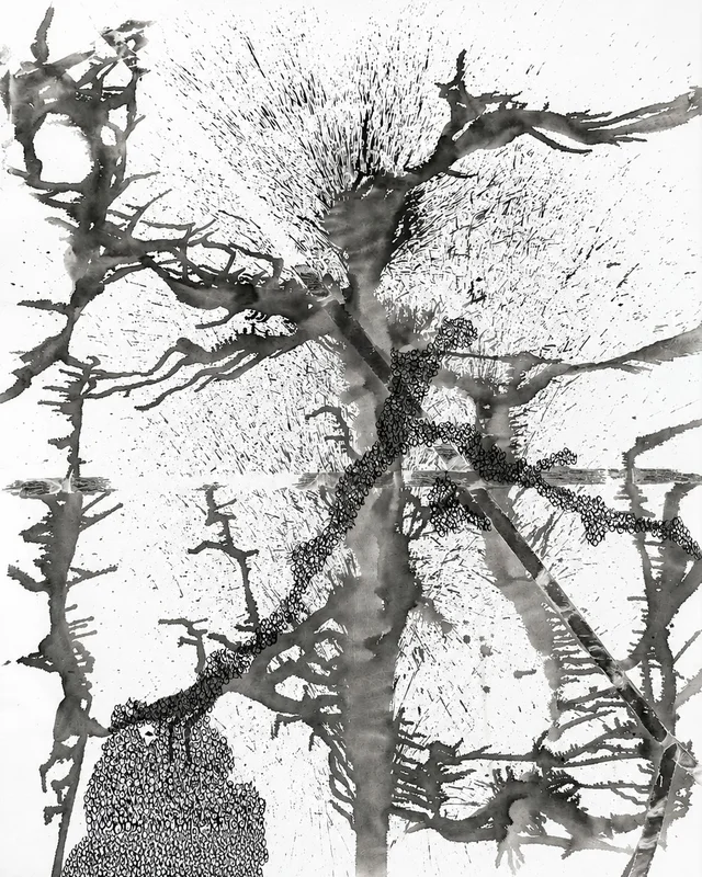 mirror entropie